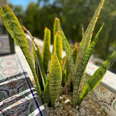 Center - Eaw Homes Appartement