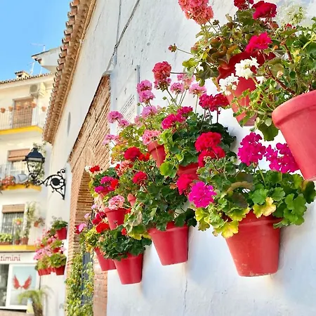 Center - Eaw Homes شقة *